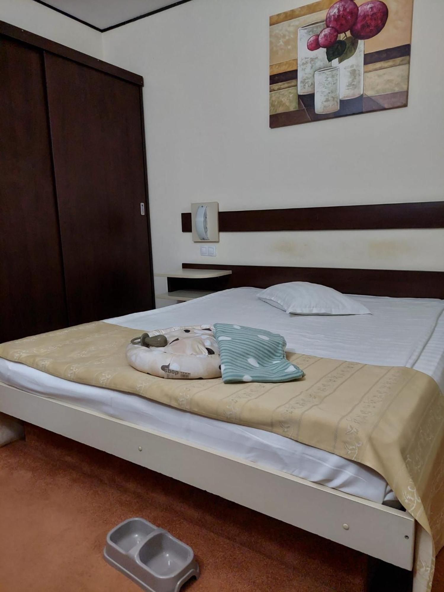 Hotel Rapsodia City Center Botosani Exterior photo